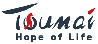 Toumai
